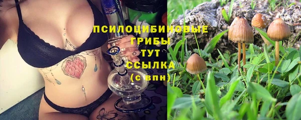 ALPHA PVP Алзамай