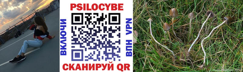 Галлюциногенные грибы Psilocybine cubensis  Калининск 